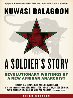 cover image of Soldier's Story